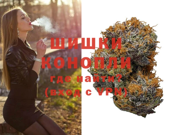 гидропоника Богданович