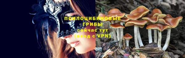 гидропоника Богданович