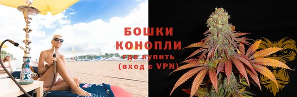 гидропоника Богданович