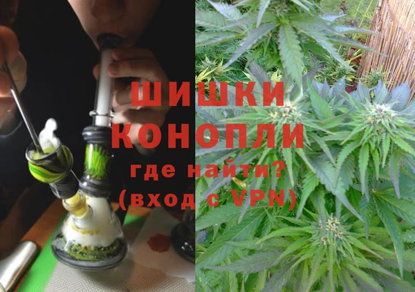 дживик Осинники